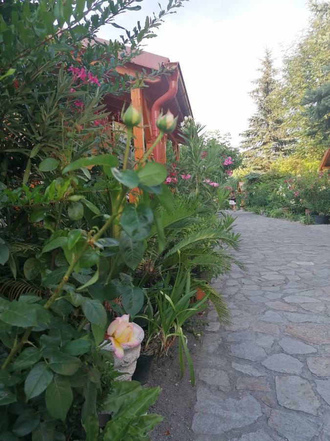 Bed and Breakfast Szentesi Panzio Fertőrákos Exterior foto