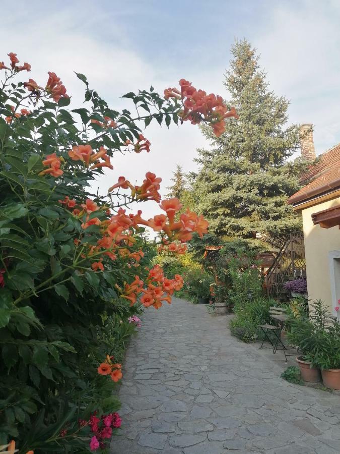 Bed and Breakfast Szentesi Panzio Fertőrákos Exterior foto